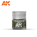 Ak Interactive RC098 Russian Modern Green 10ml