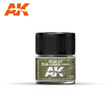 Ak Interactive RC266 RLM 02 RLM-GRAU (1941) 10ml