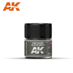 Ak Interactive RC294 RAF Dark Slate Grey 10ml