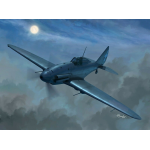 Sword 48013 - Reggiane Re2001 CN nigh fighter  1/48